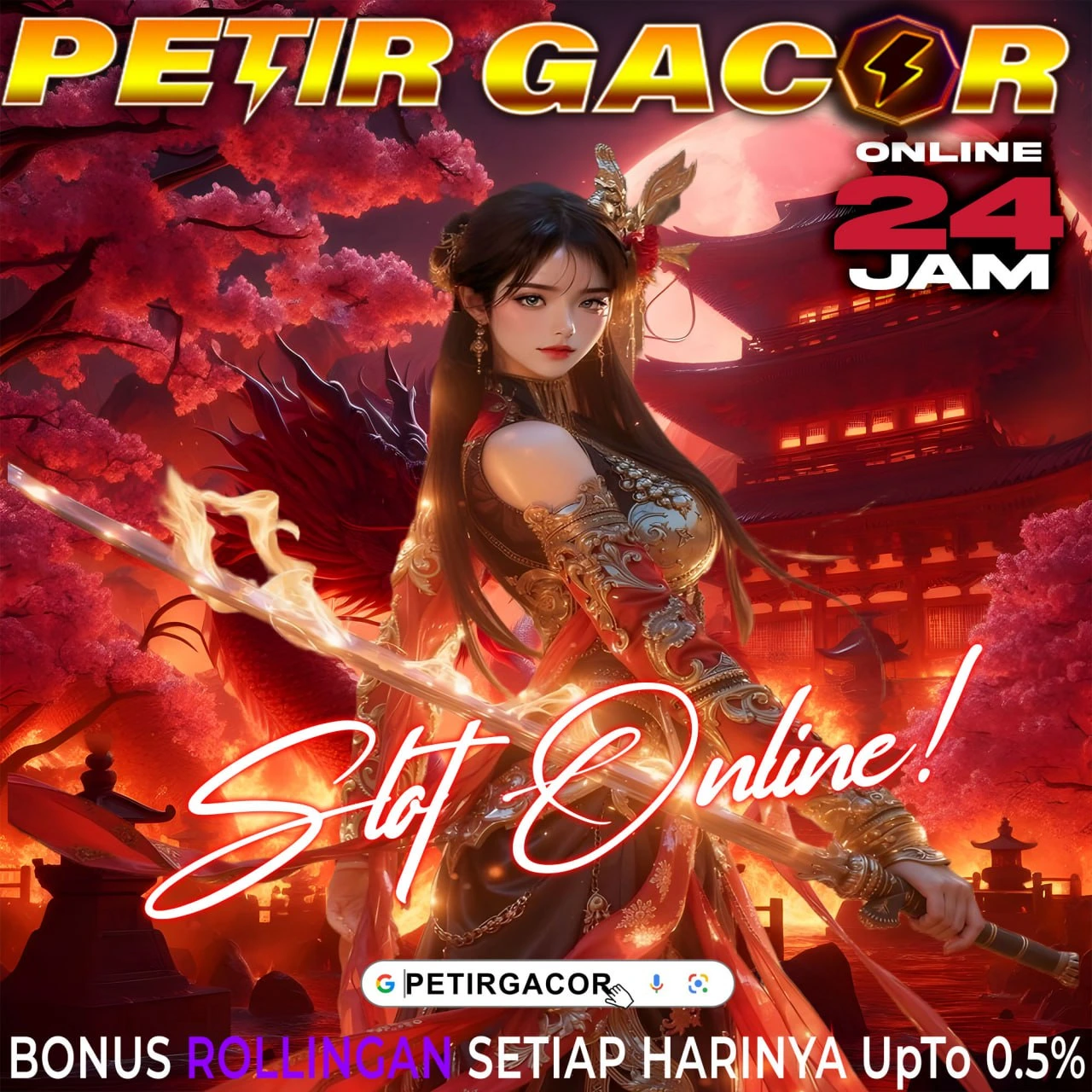 PETIRGACOR LOGIN